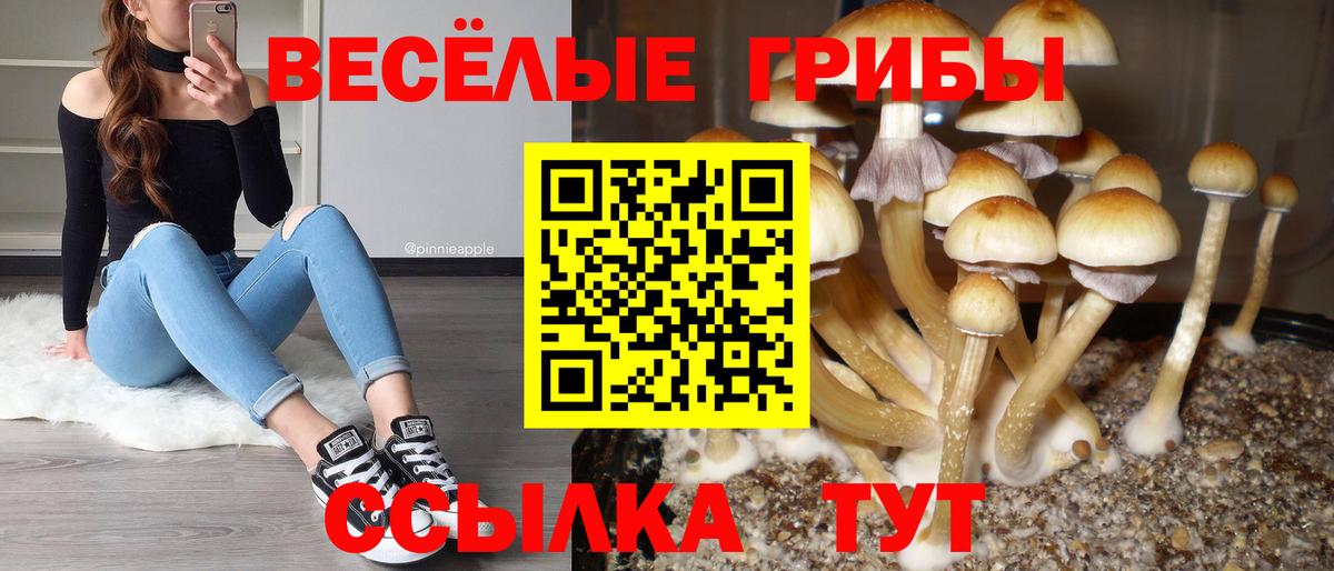 Псилоцибиновые грибы Magic Shrooms Кузнецк